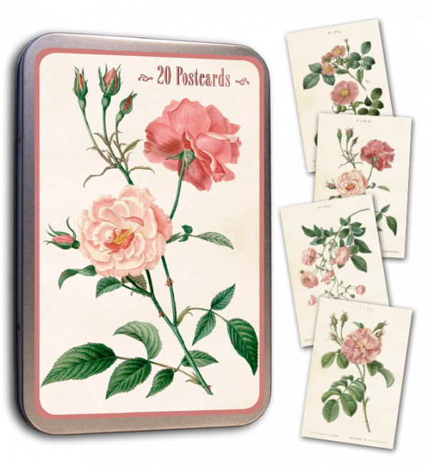 Ruusu postikortit peltirasiassa