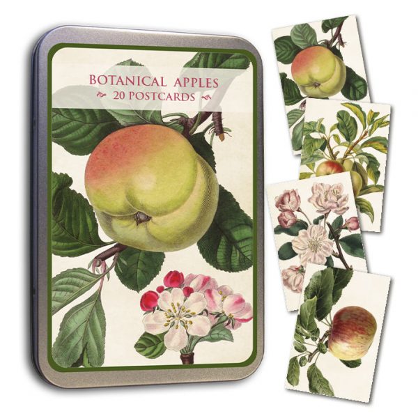 peltirasia jossa omena-aiheisia postikortteja