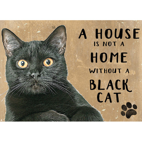 musta kissa peltikyltti