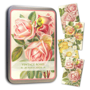 ruusu postikortit